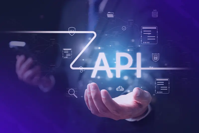 EEZE 카지노 플랫폼 API 지원