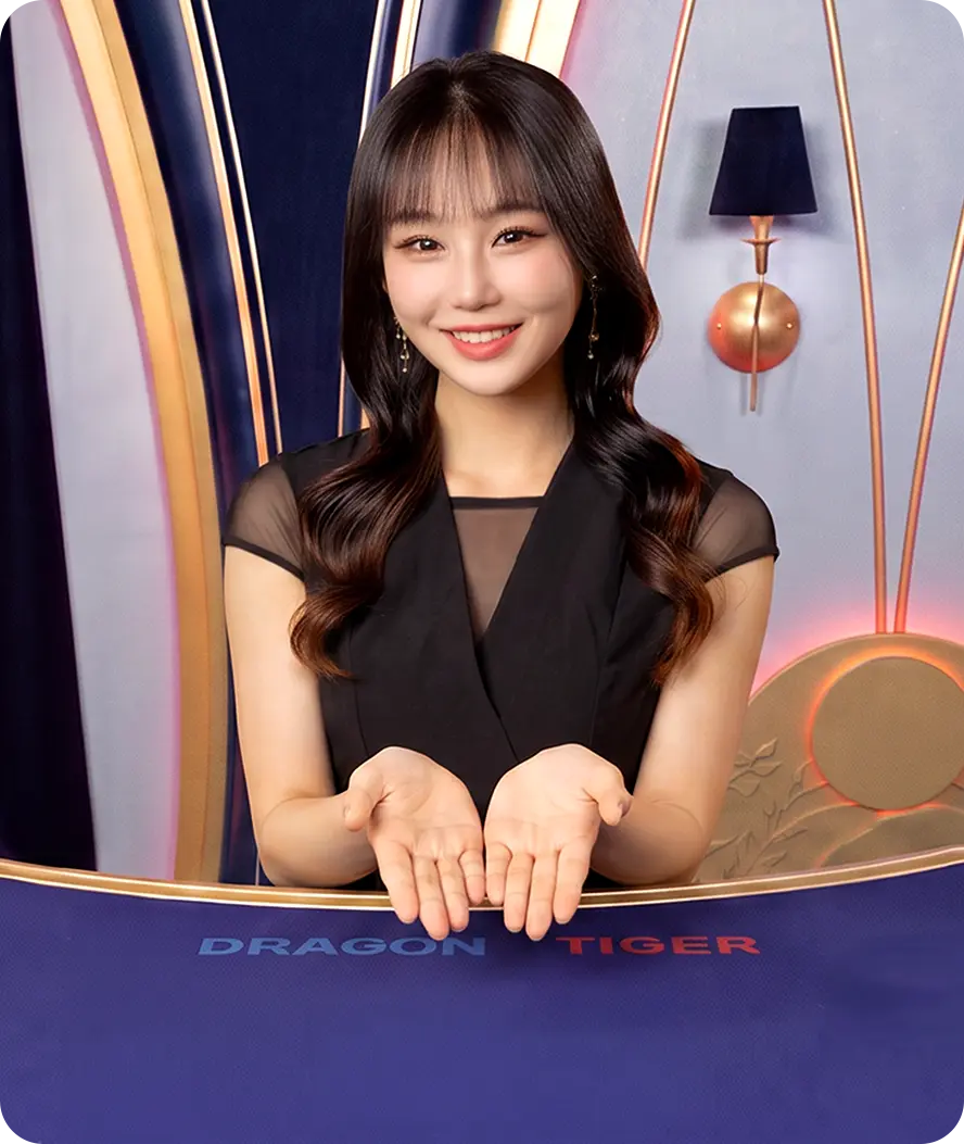 EEZE 드래곤 타이거 라이브 카드 게임